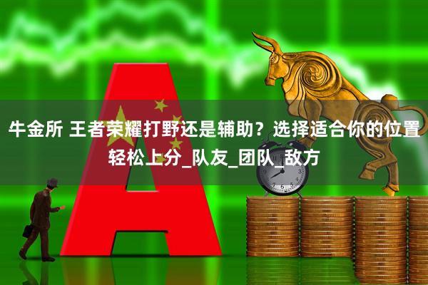 牛金所 王者荣耀打野还是辅助？选择适合你的位置轻松上分_队友_团队_敌方