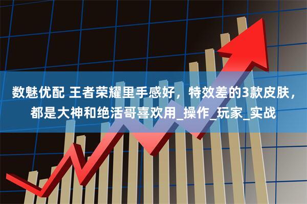 数魅优配 王者荣耀里手感好，特效差的3款皮肤，都是大神和绝活哥喜欢用_操作_玩家_实战