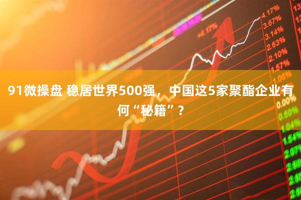 91微操盘 稳居世界500强，中国这5家聚酯企业有何“秘籍”？