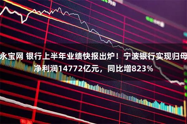 永宝网 银行上半年业绩快报出炉！宁波银行实现归母净利润14772亿元，同比增823%