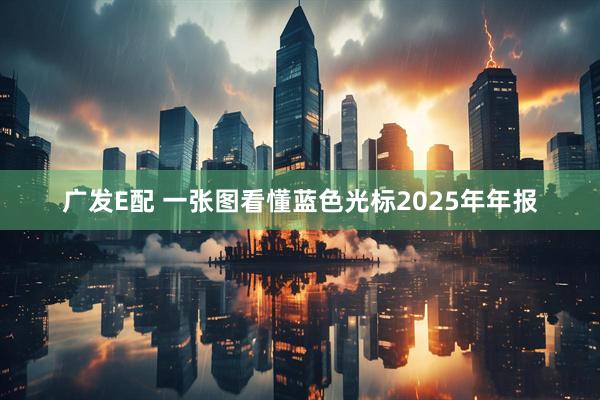 广发E配 一张图看懂蓝色光标2025年年报